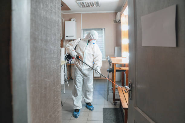 Best Commercial Mold Inspection  in Virginia Beach, VA