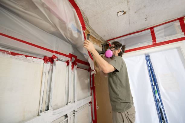 Best Asbestos and Lead Testing During Mold Inspection  in Virginia Beach, VA